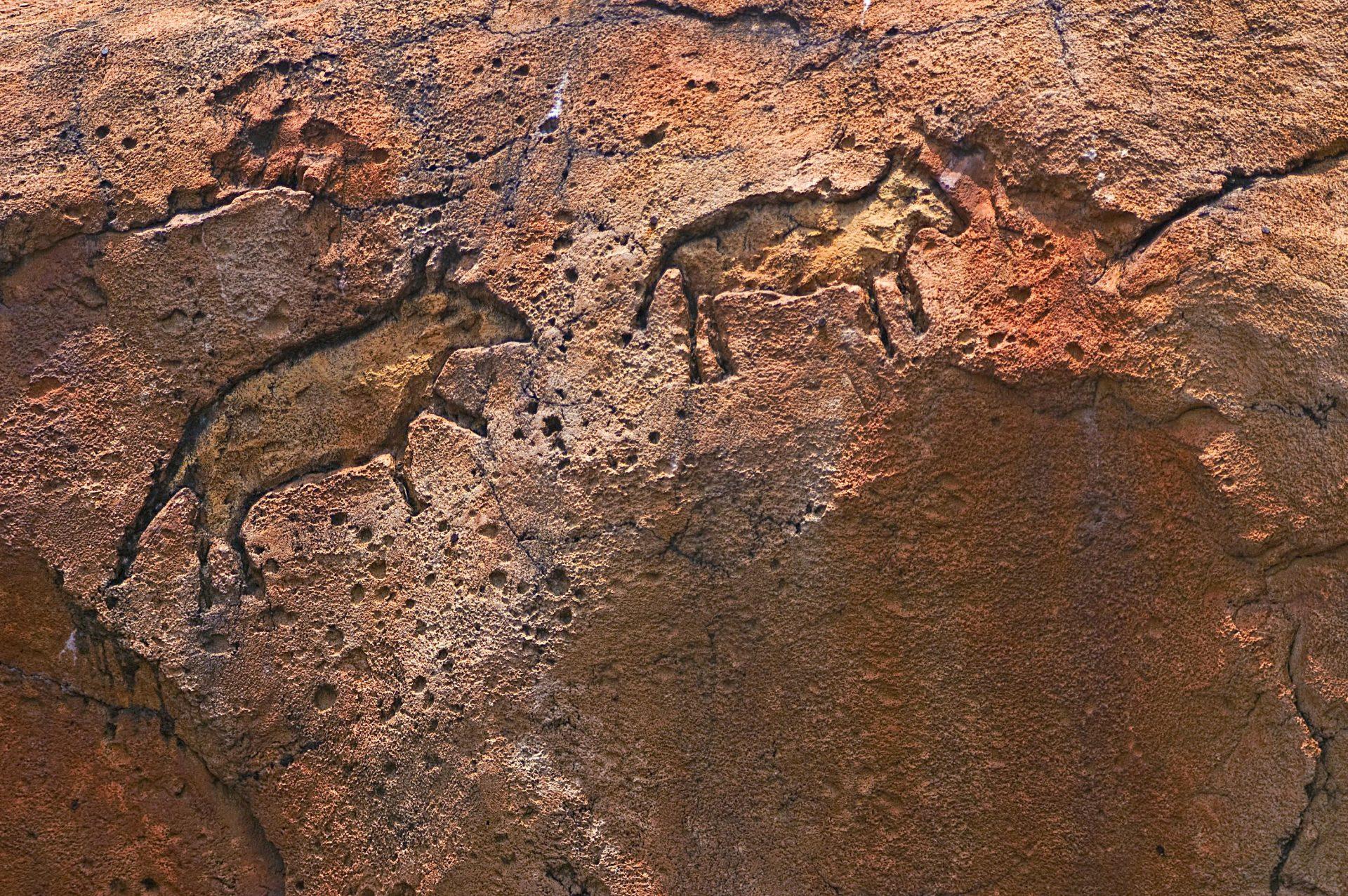 Saudi Arabia uncovers ancient rock art sites