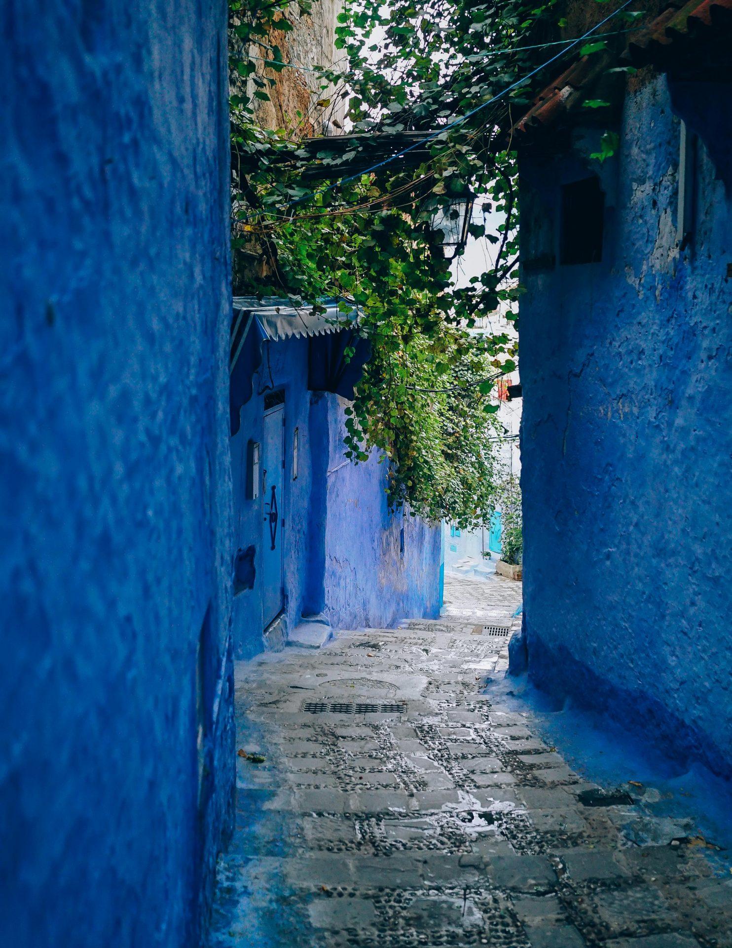 UAE plans massive tourism village project in Morocco’s Sahara coast